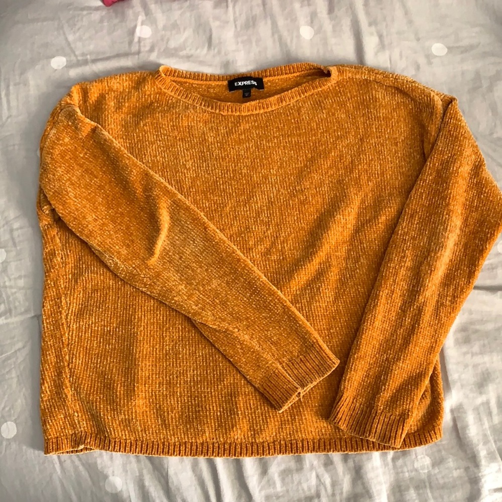 Express Golden Crop Chenille Sweater